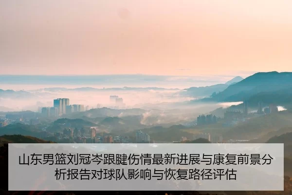 shan-dong-nan-lan-liu-guan-cen-gen-jian-shang-qing-zui-xin-jin-zhan-yu-kang-fu-qian-jing-fen-xi-bao-gao-dui-qiu-dui-2-432.jpg