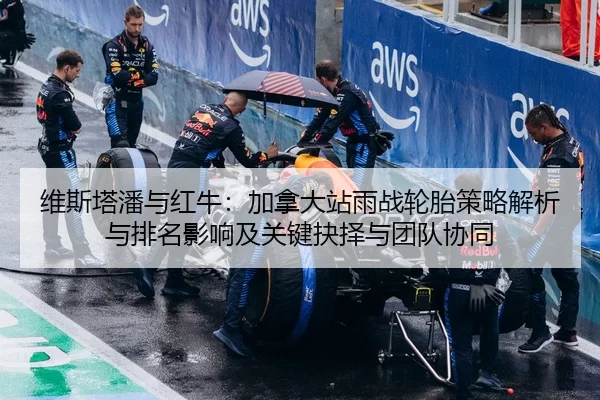 维斯塔潘与红牛：加拿大站雨战轮胎策略解析与排名影响及关键抉择与团队协同